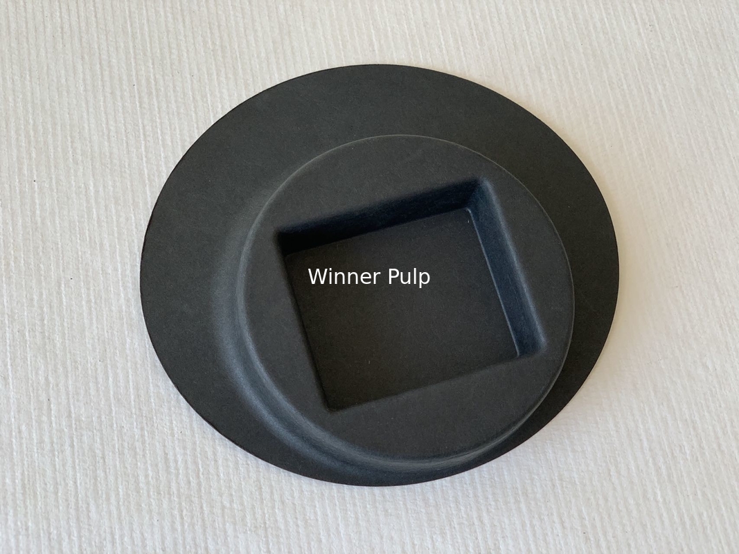 Customized Biodegradable Compostable Packaging Bagasse Moulded Pulp Tray